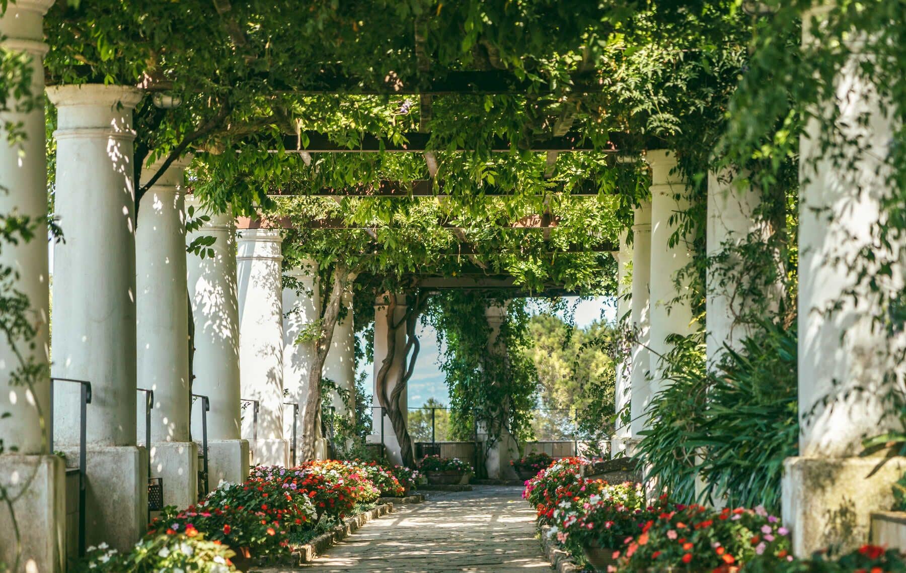 مكان جذب سياحي