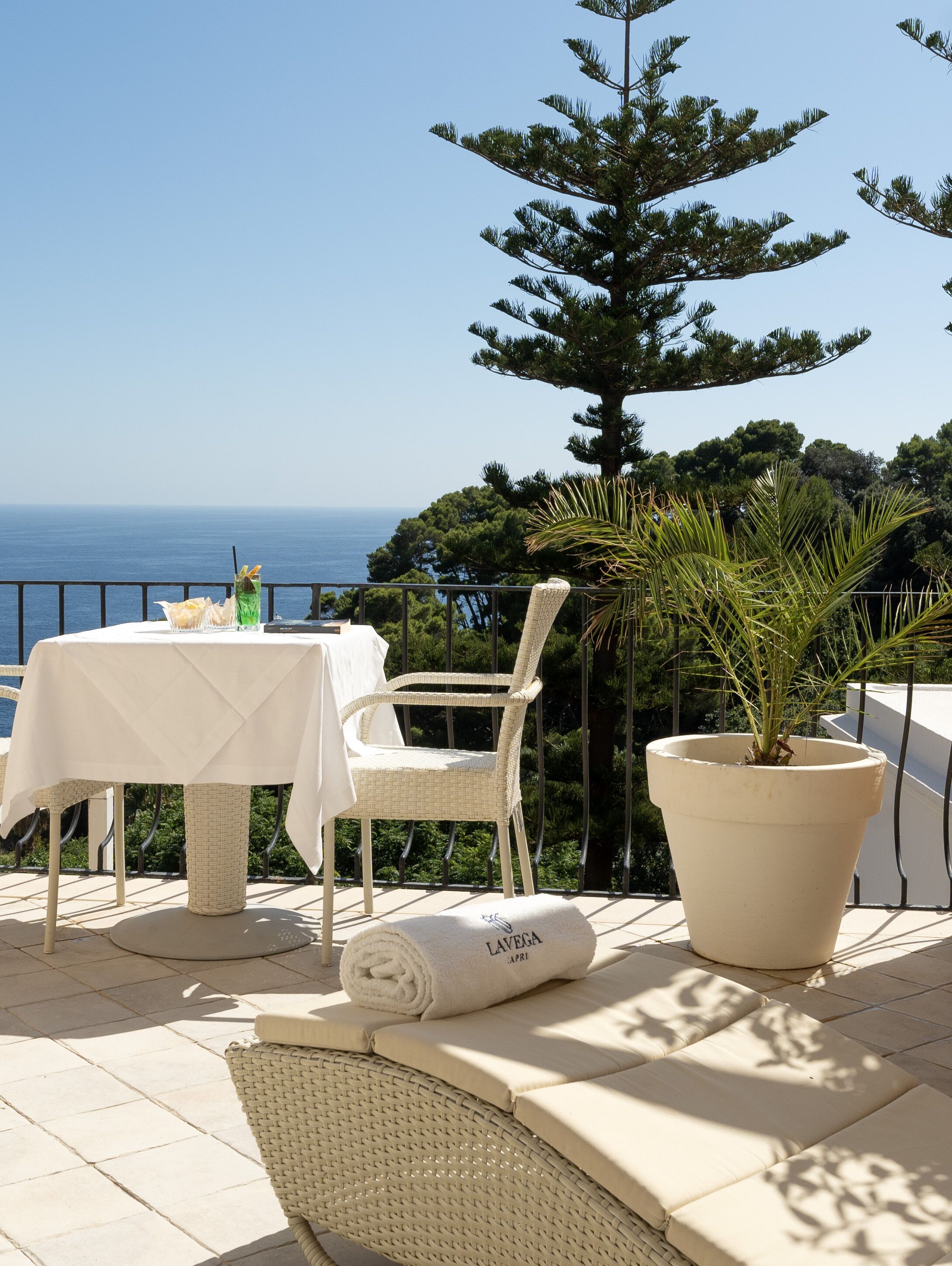 A terrace with a table and chairs, a potted plant, and a view of the sea.