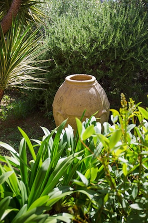 Garden - Hotel La Vega (Capri)