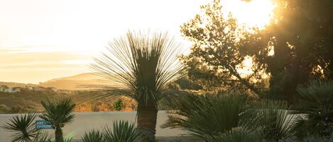 A landscaped garden with palm trees and shrubs, a sign indicating parking, and a view of distant hills during sunset.