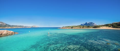 Nära stranden, gratis transport till/från stranden och strandbarer