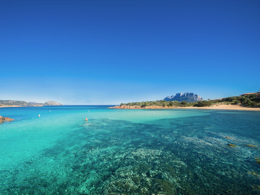 On the beach, black sand, free beach shuttle, beach bar