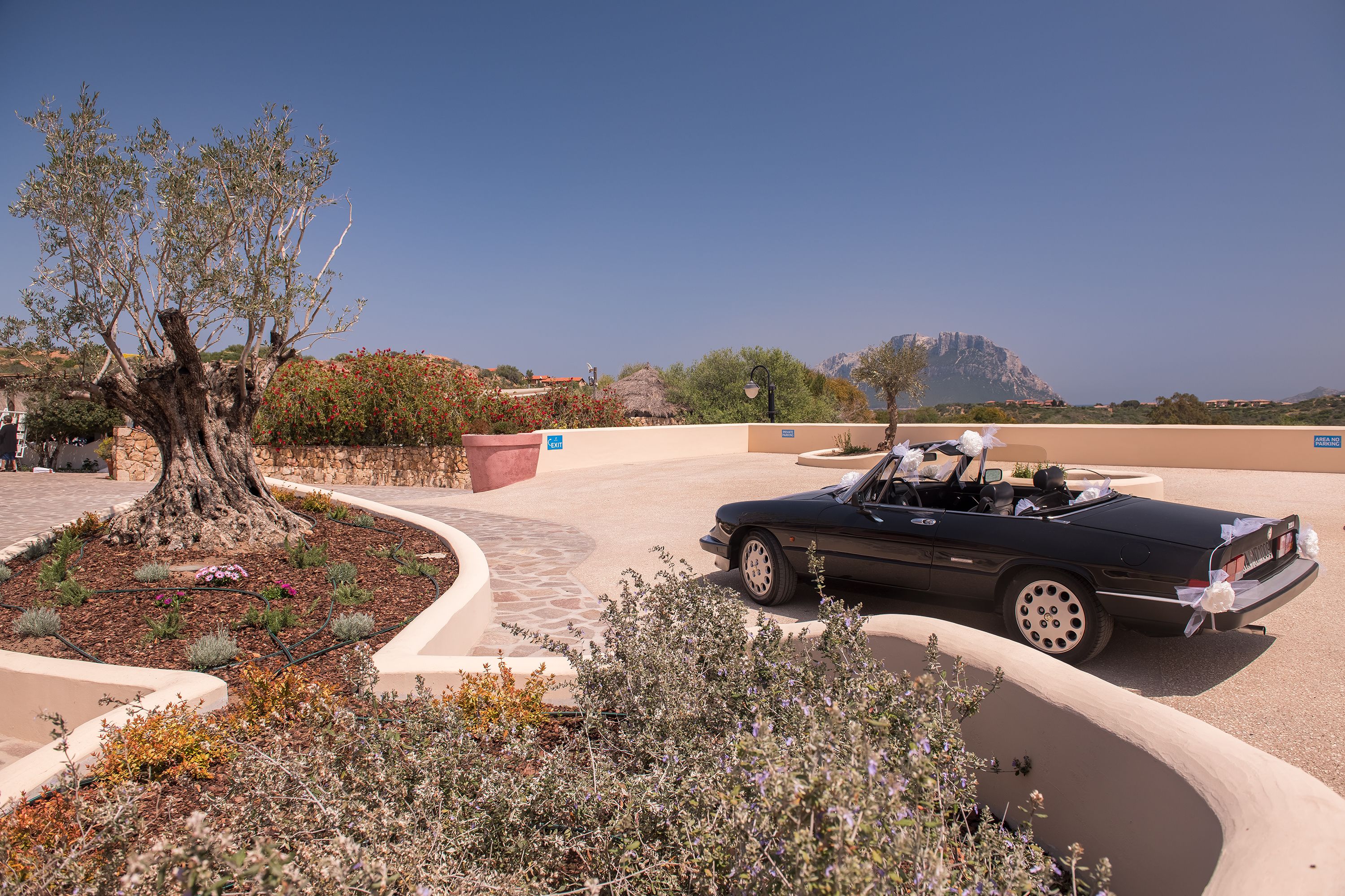 A black convertible car parked in a landscaped area with a tree and a stone pathway.