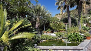 Ein üppiger Garten mit Teich, Palmen und verschiedenen Pflanzen.