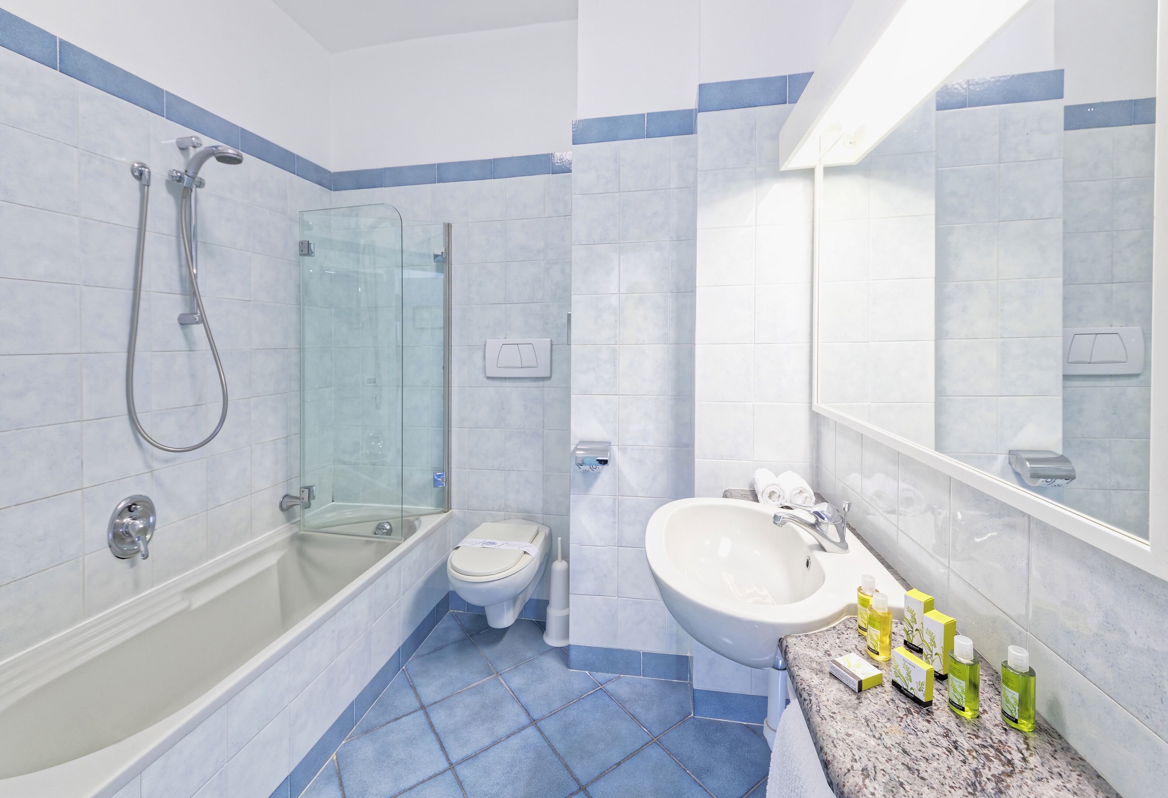 free toiletries, hair dryer, slippers, bidet