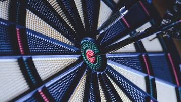A dartboard with a central bullseye and multiple colored rings.