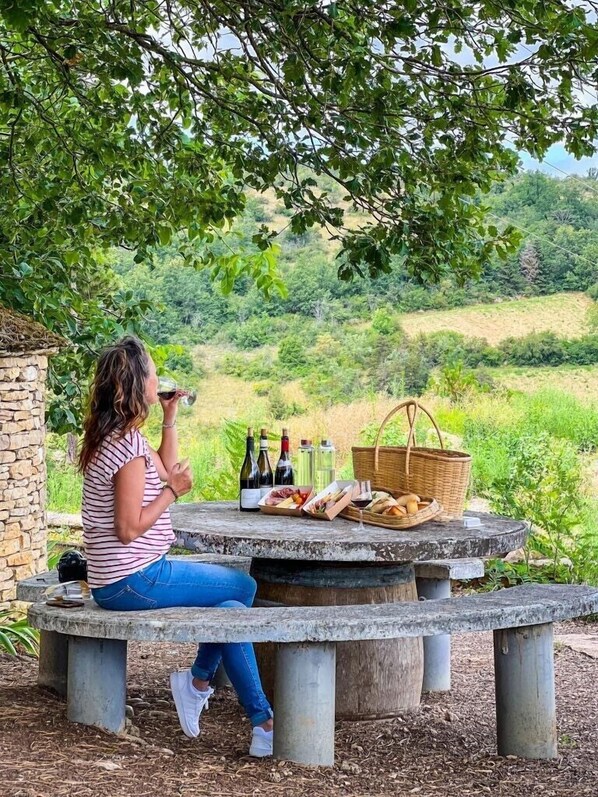 Vineyard - Le Richebourg Hotel Restaurant & Spa (Vosne-Romanee)