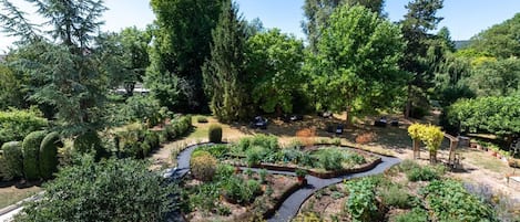 Tuin