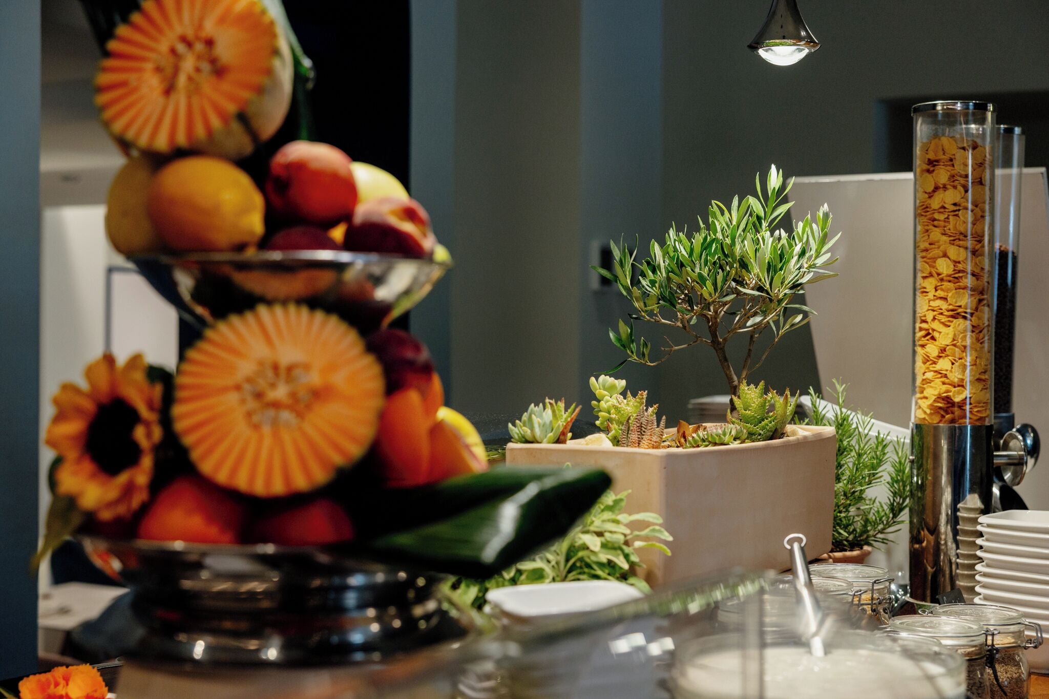 A buffet setup with a fruit display, a coffee dispenser, and small potted plants.