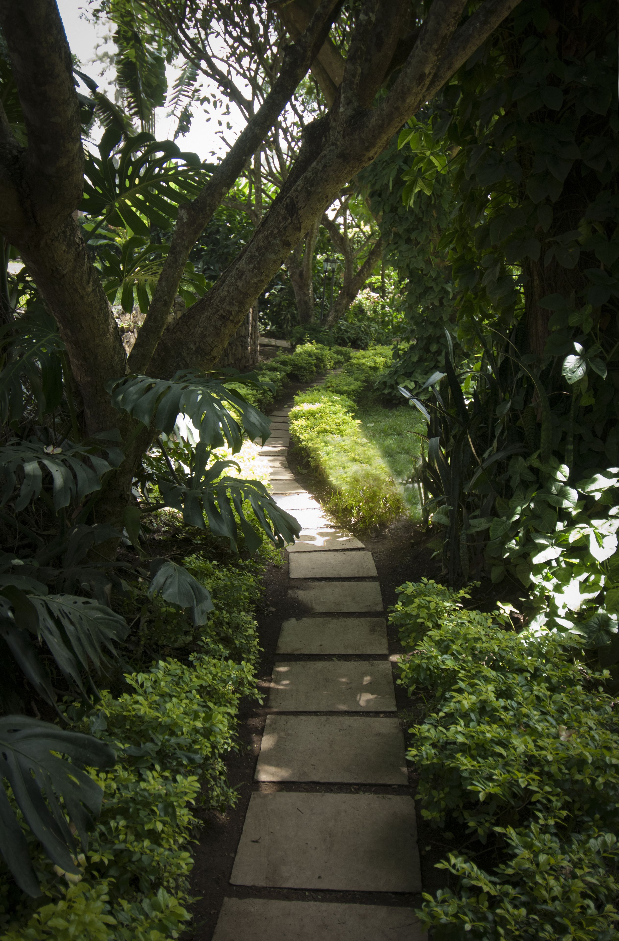 Photo - Four Points by Sheraton Arusha, The Arusha Hotel
