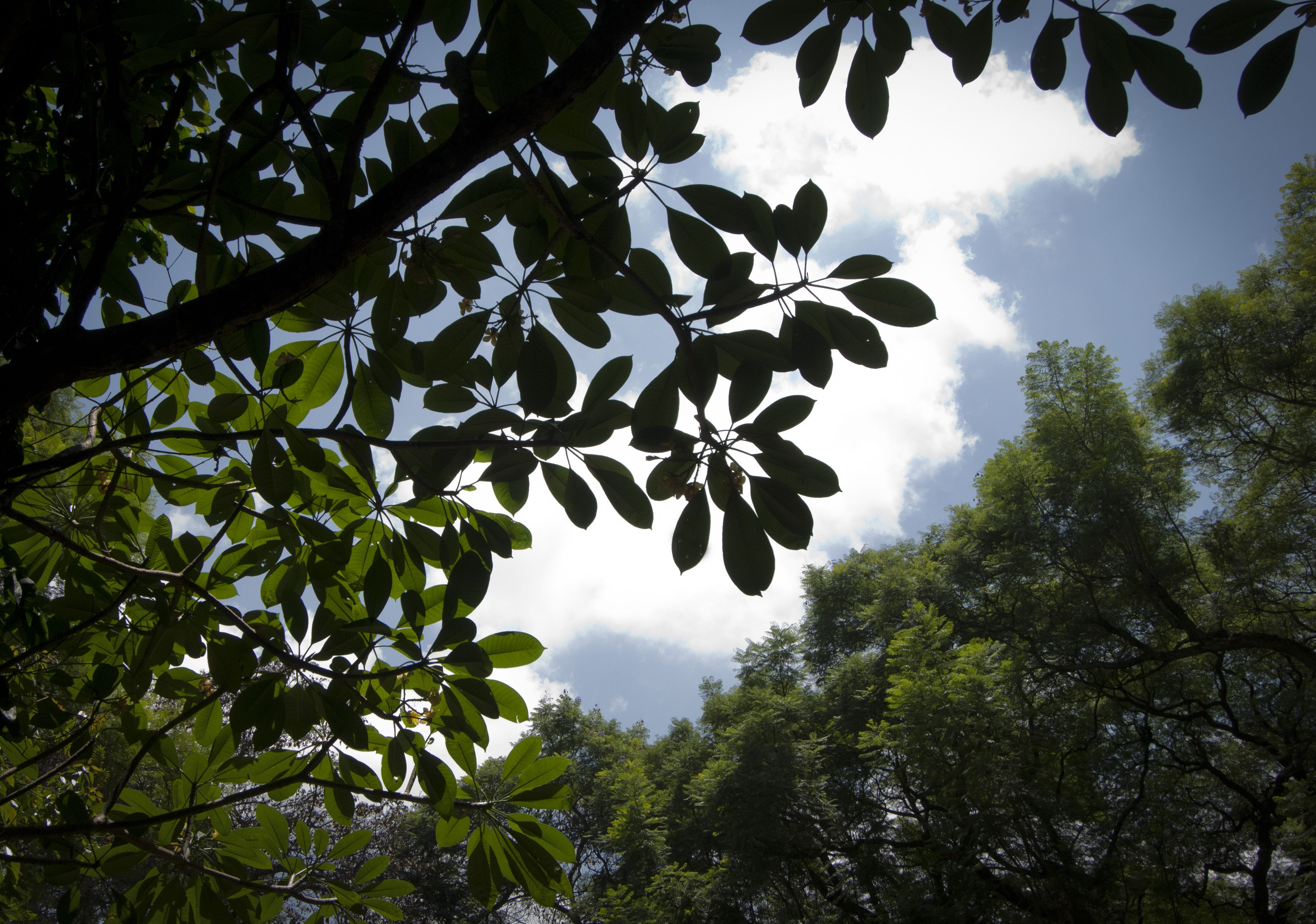 Photo - Four Points by Sheraton Arusha, The Arusha Hotel
