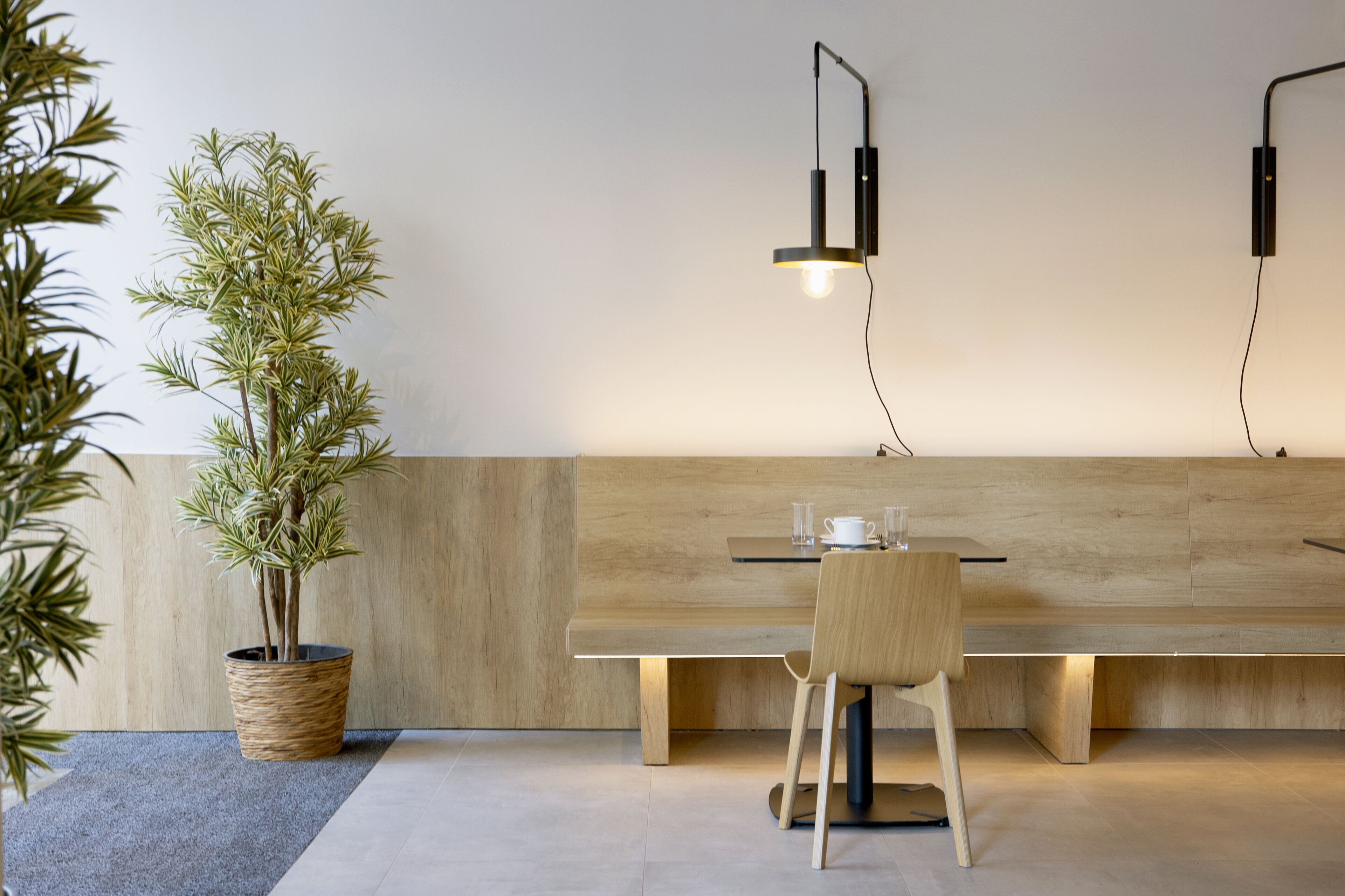 Foto - Hotel Delfín 4 Sup