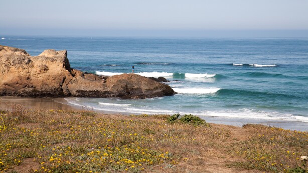 A coastal landscape with rocky formations, a beach, and a clear sky. - The Beach House Inn (Fort Bragg)