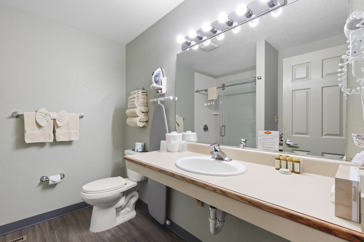 shower, free toiletries, hair dryer, towels