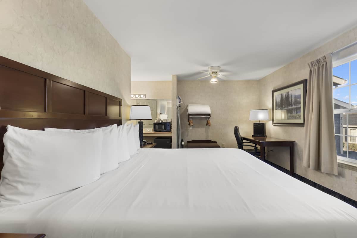 Camera d'albergo con un letto grande, una scrivania con una sedia, un forno a microonde e una ventola a soffitto.