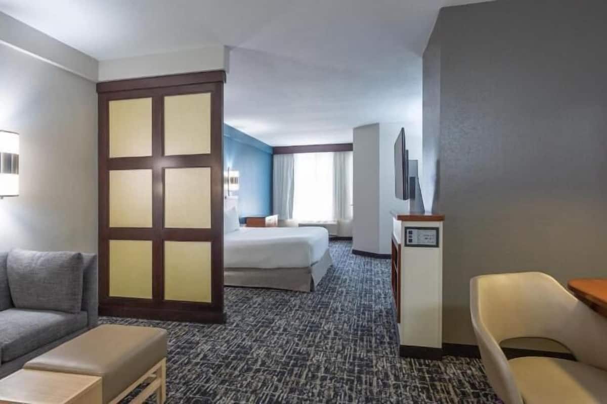 A hotel room with a bed, a sofa, a desk, and a chair.