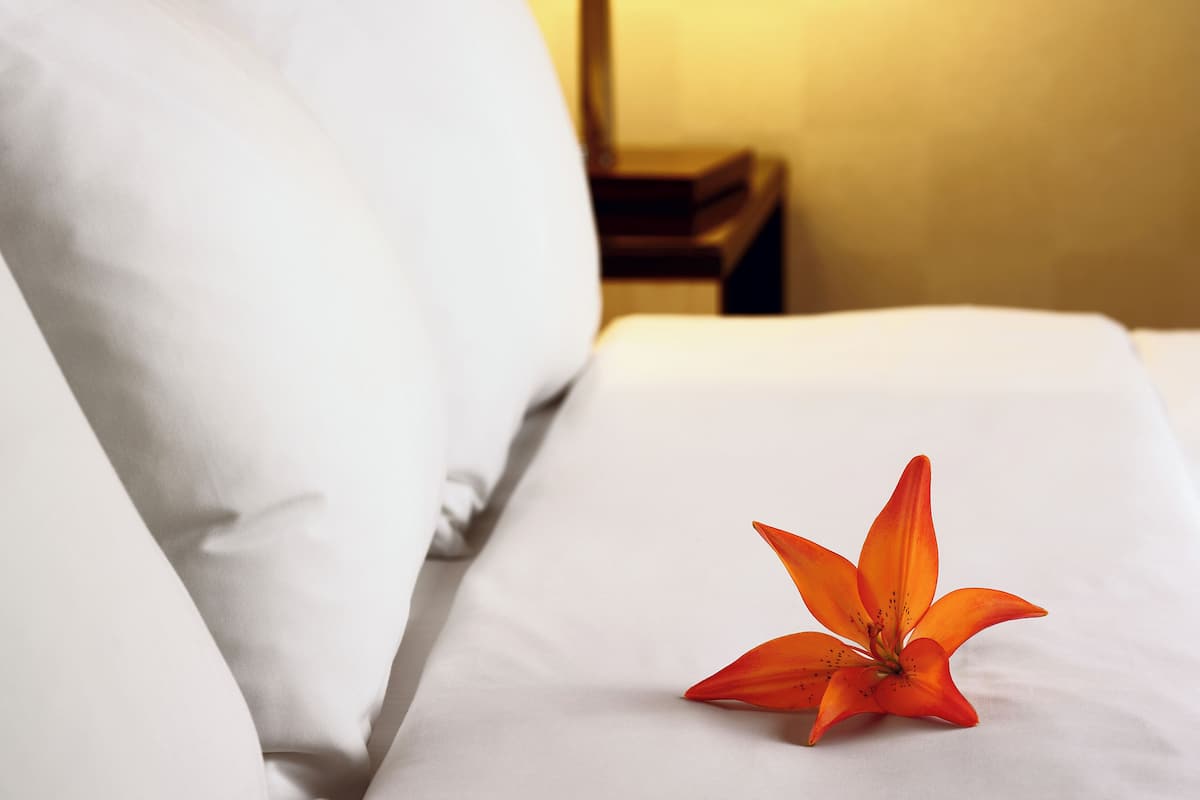 Family Suite | Premium bedding, pillowtop beds, laptop workspace, iron/ironing board