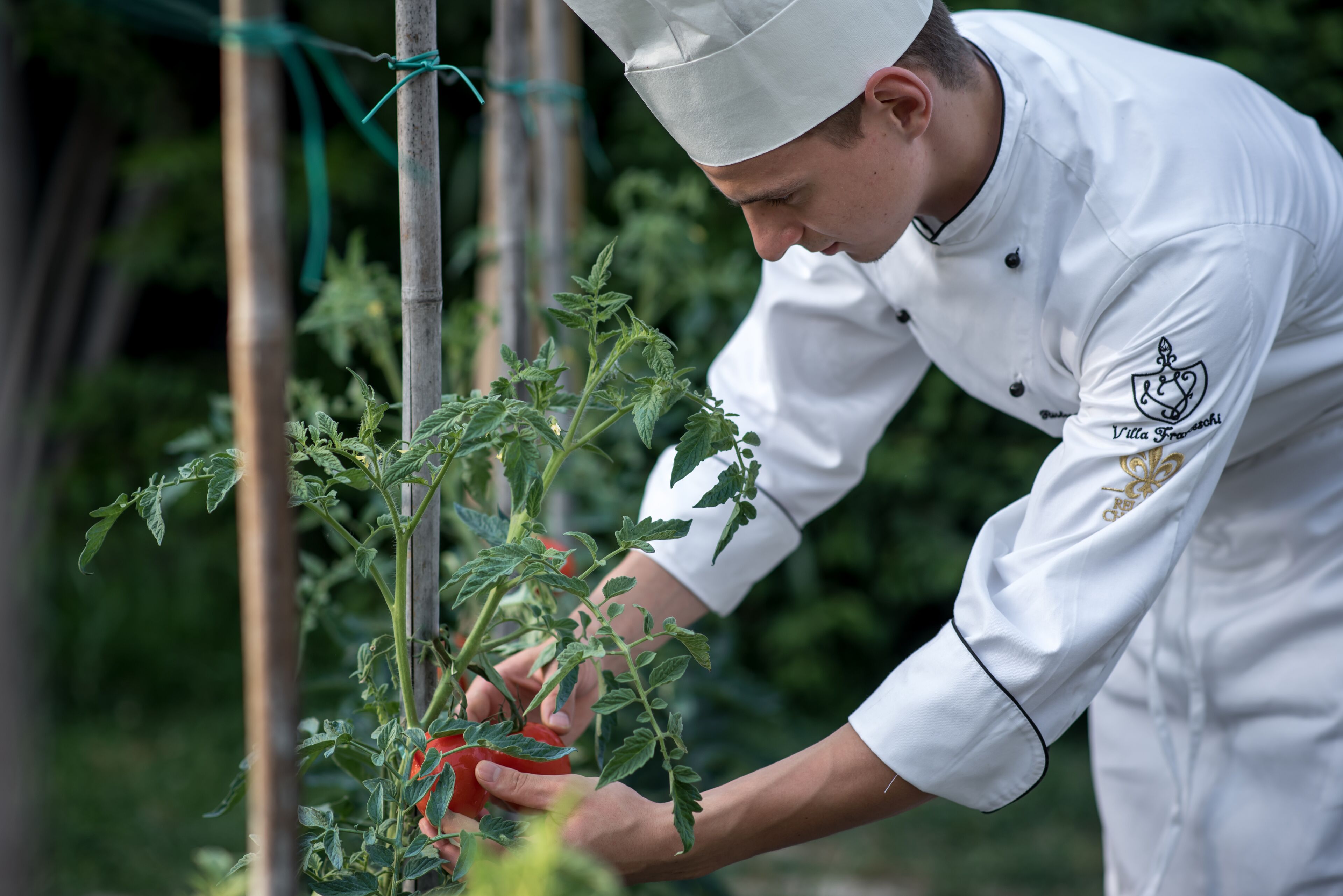 lunch, dinner served; regional cuisine, garden views