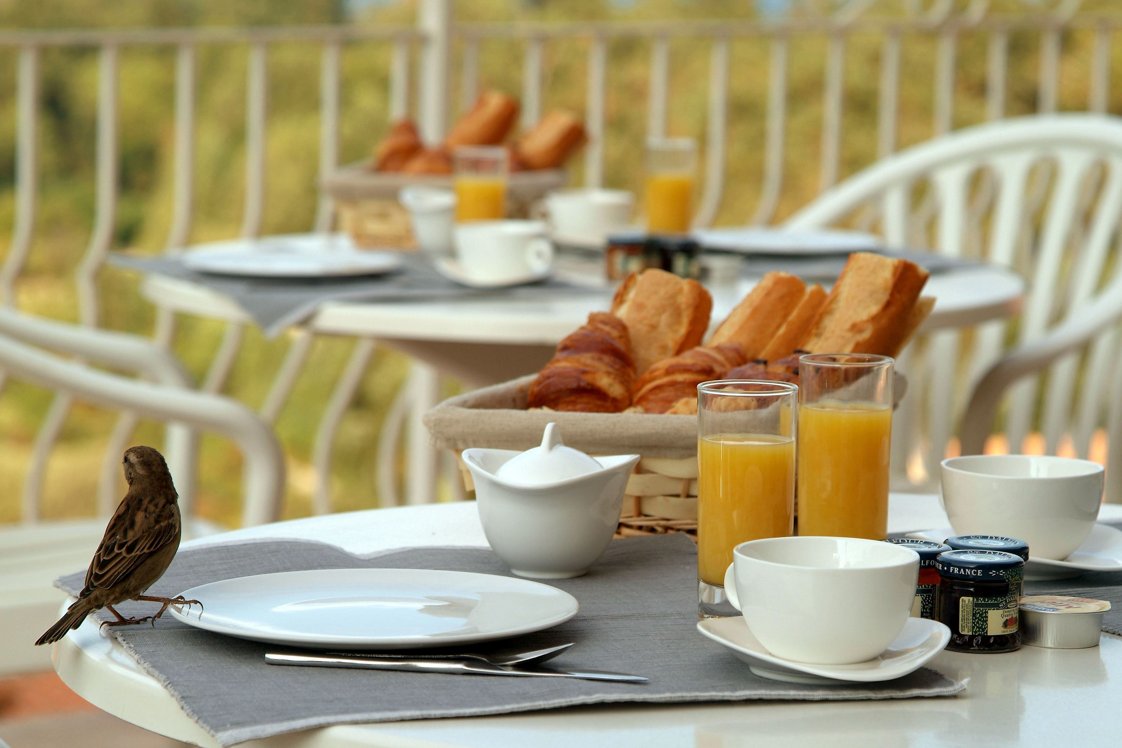 daily buffet breakfast (eur 13 per person)