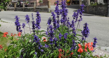 Le Grand Hotel Du Hohwald