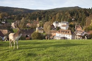 Eksteriør