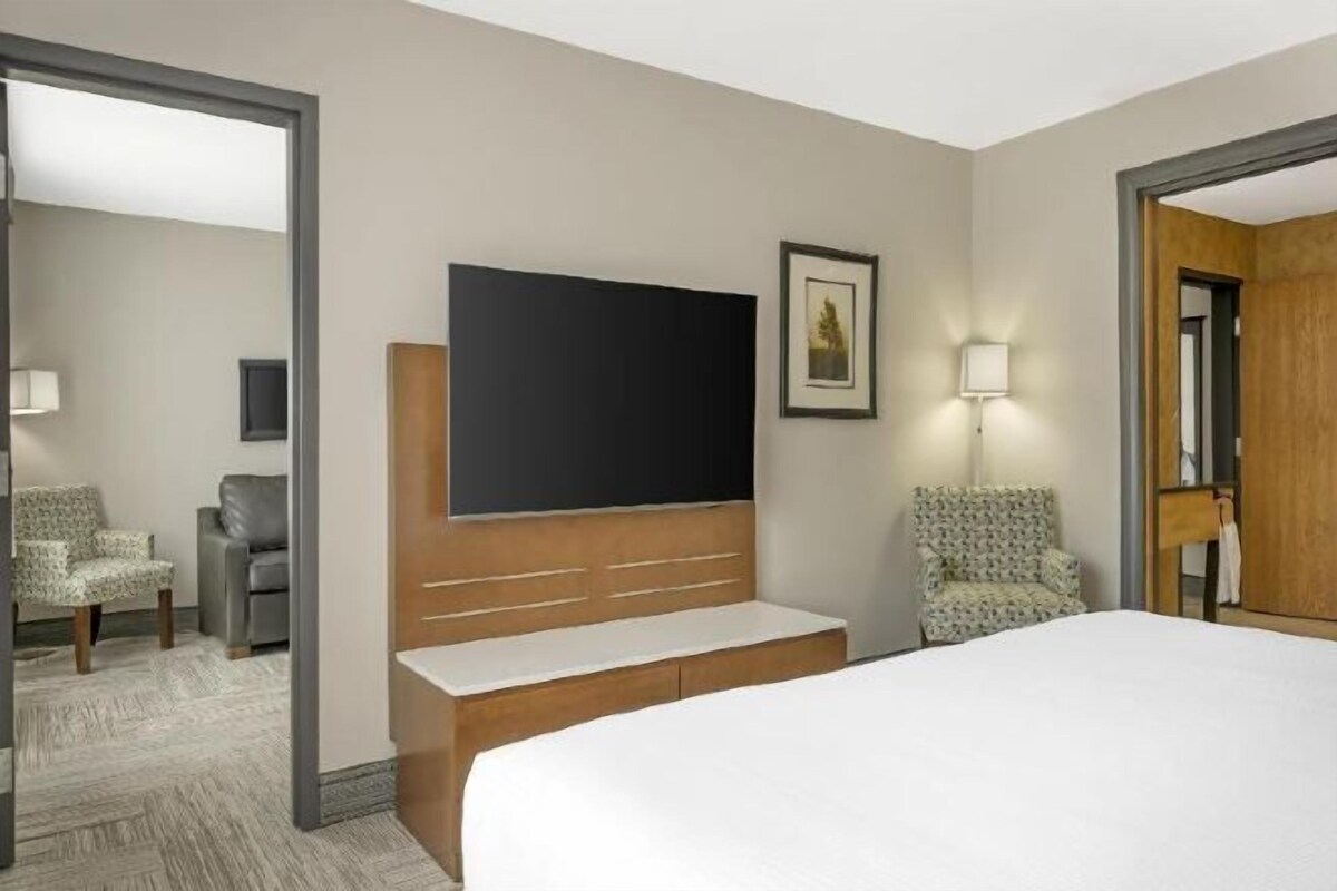 Habitación de hotel con una cama grande, televisión de pantalla plana, escritorio y dos sillas.
