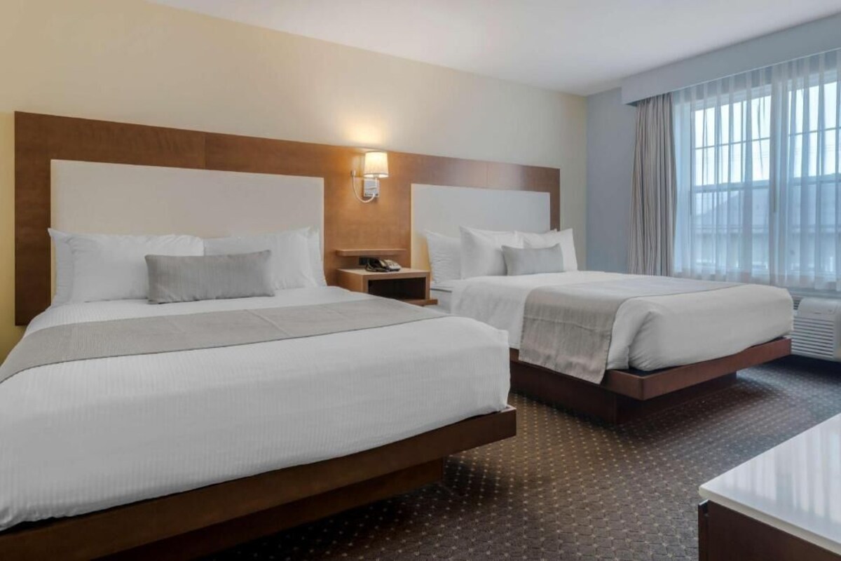 Habitación de hotel con dos camas, una mesita de noche con lámpara, una ventana con cortinas y una alfombra estampada.