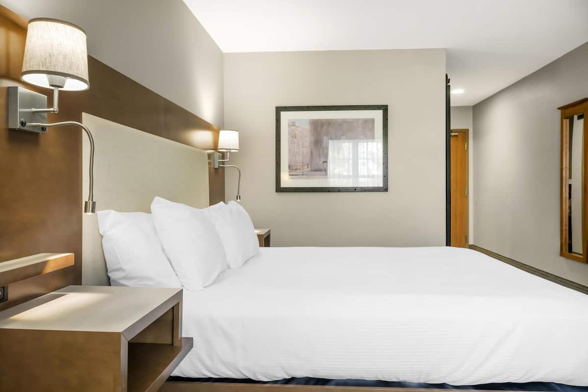 A hotel room with a large bed, a bedside table, a wall-mounted lamp, and a framed picture on the wall.