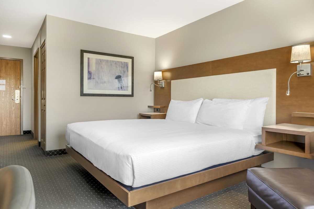 A hotel room with a large bed, a wooden headboard, a nightstand, a wall-mounted lamp, and a framed picture on the wall.