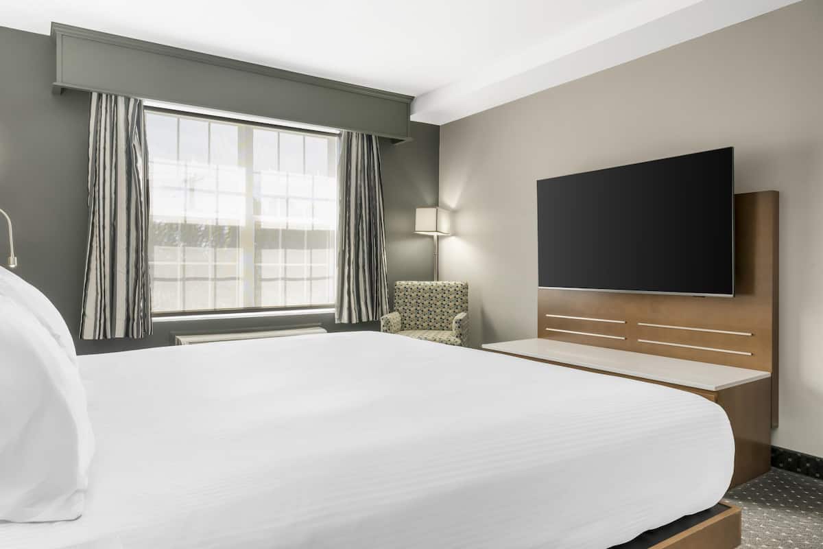 Suite, 1 cama King size, para no fumadores, refrigerador y microondas (with Sofabed) | 1 habitación, ropa de cama de alta calidad y camas con pillow-top