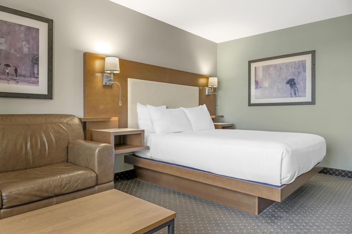Standard Room, 1 Queen Bed, Non Smoking, Refrigerator (with Sofabed) | Premium bedding, pillow-top beds, in-room safe, laptop workspace