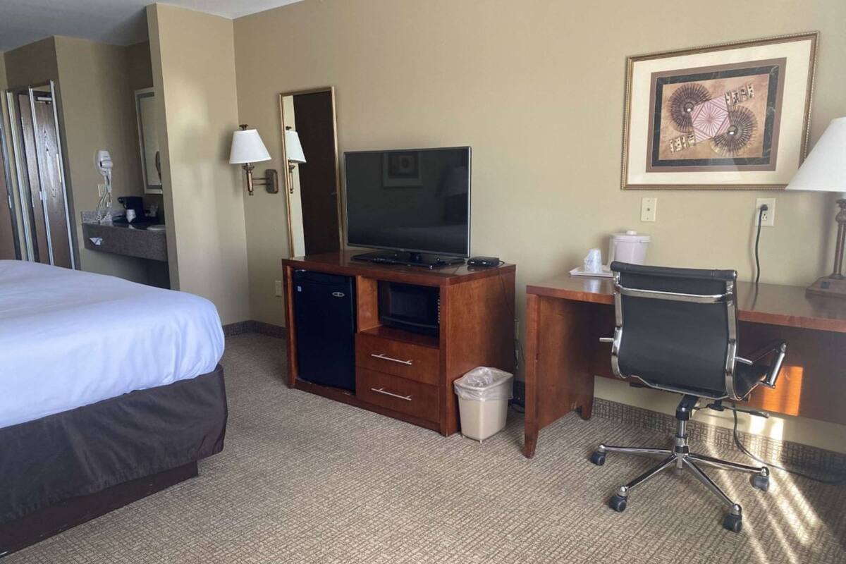 A hotel room with a bed, a desk with a computer, a television, a chair, a trash bin, and a framed picture on the wall.