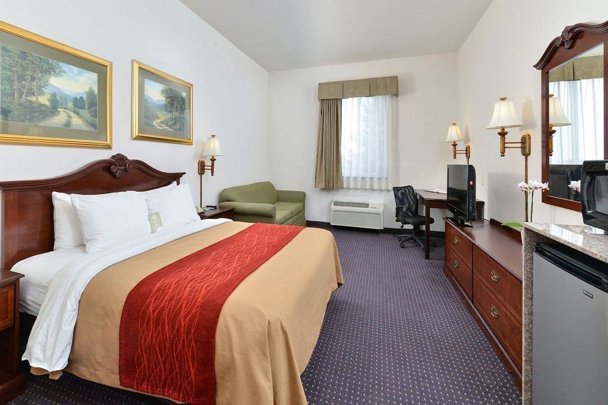 Schreibtisch, laptopgeeigneter Arbeitsplatz, Verdunkelungsvorhänge