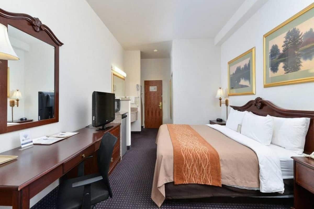 Schreibtisch, laptopgeeigneter Arbeitsplatz, Verdunkelungsvorhänge