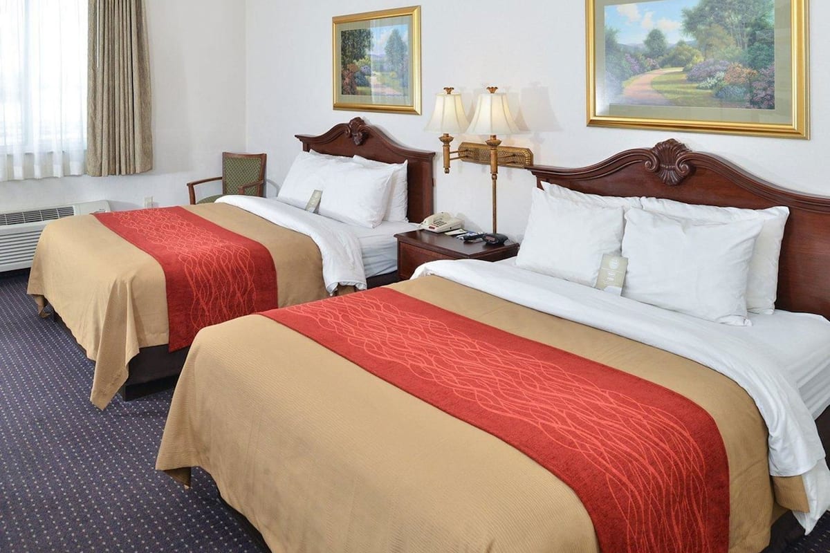 Schreibtisch, laptopgeeigneter Arbeitsplatz, Verdunkelungsvorhänge