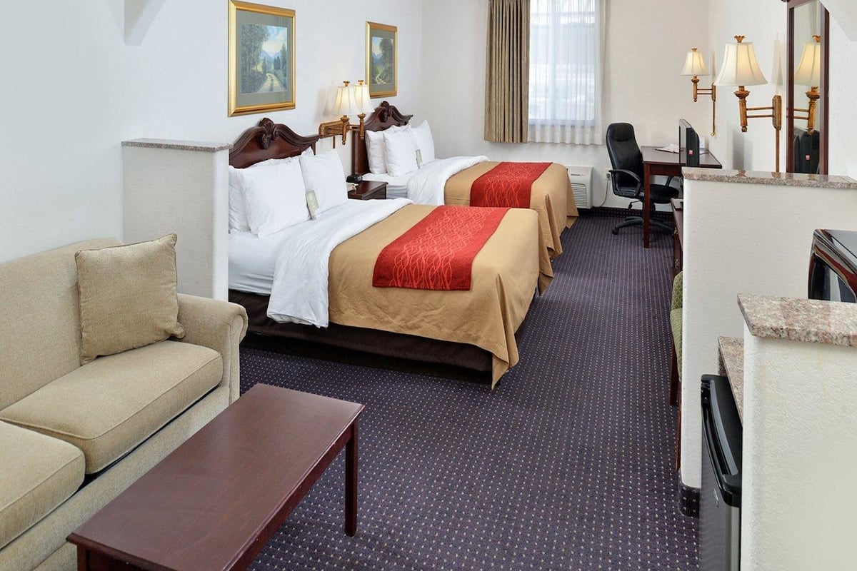 Schreibtisch, laptopgeeigneter Arbeitsplatz, Verdunkelungsvorhänge