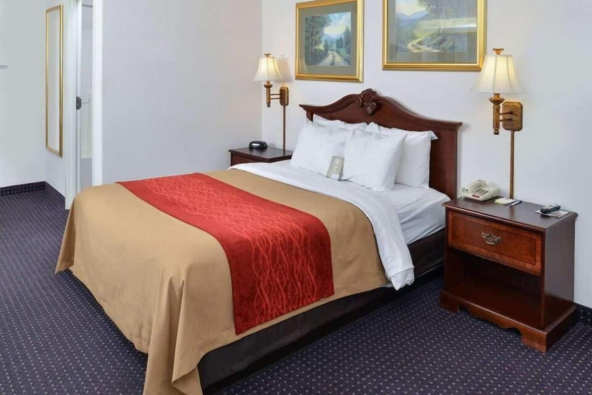 Schreibtisch, laptopgeeigneter Arbeitsplatz, Verdunkelungsvorhänge