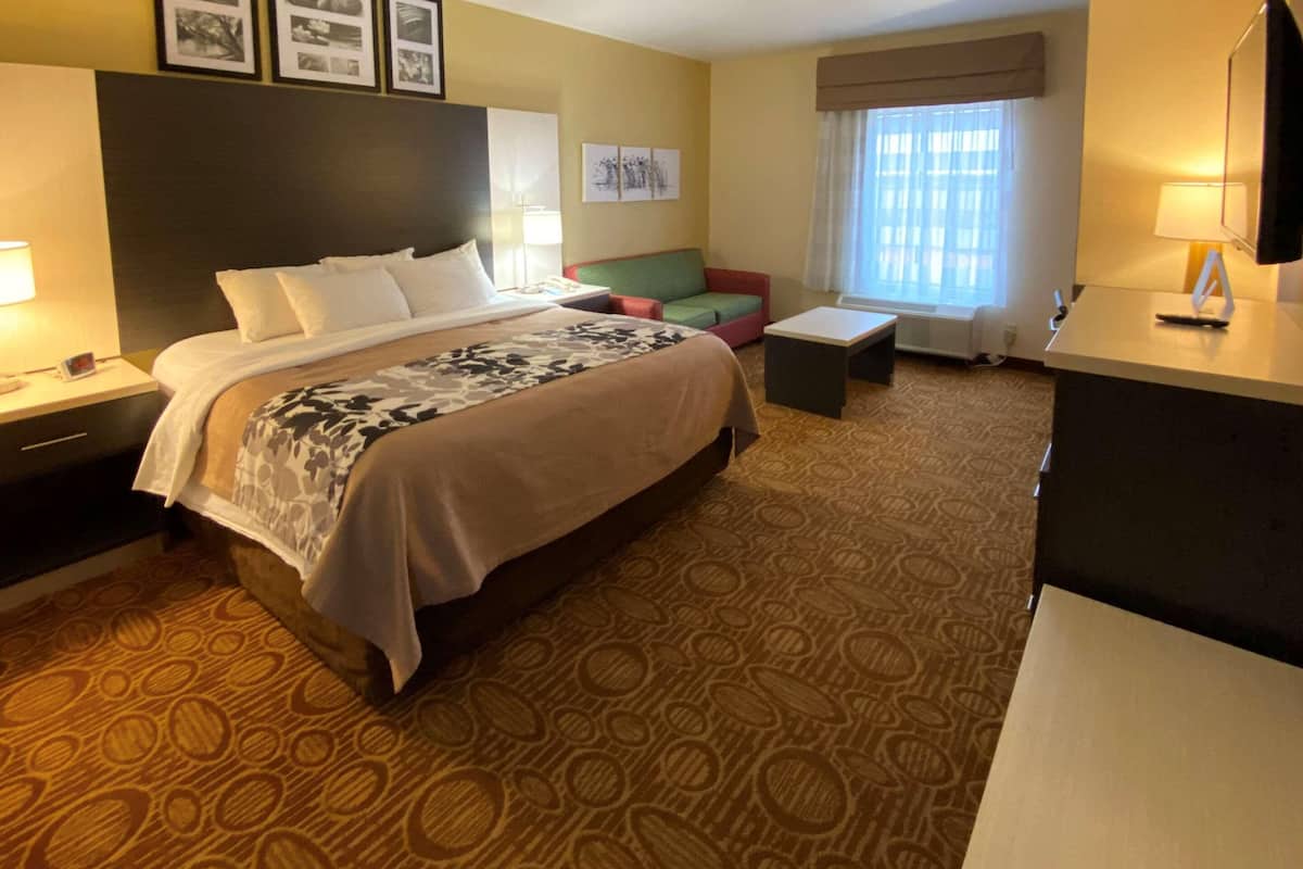 A hotel room with a large bed, a desk, a chair, a sofa, and a television.
