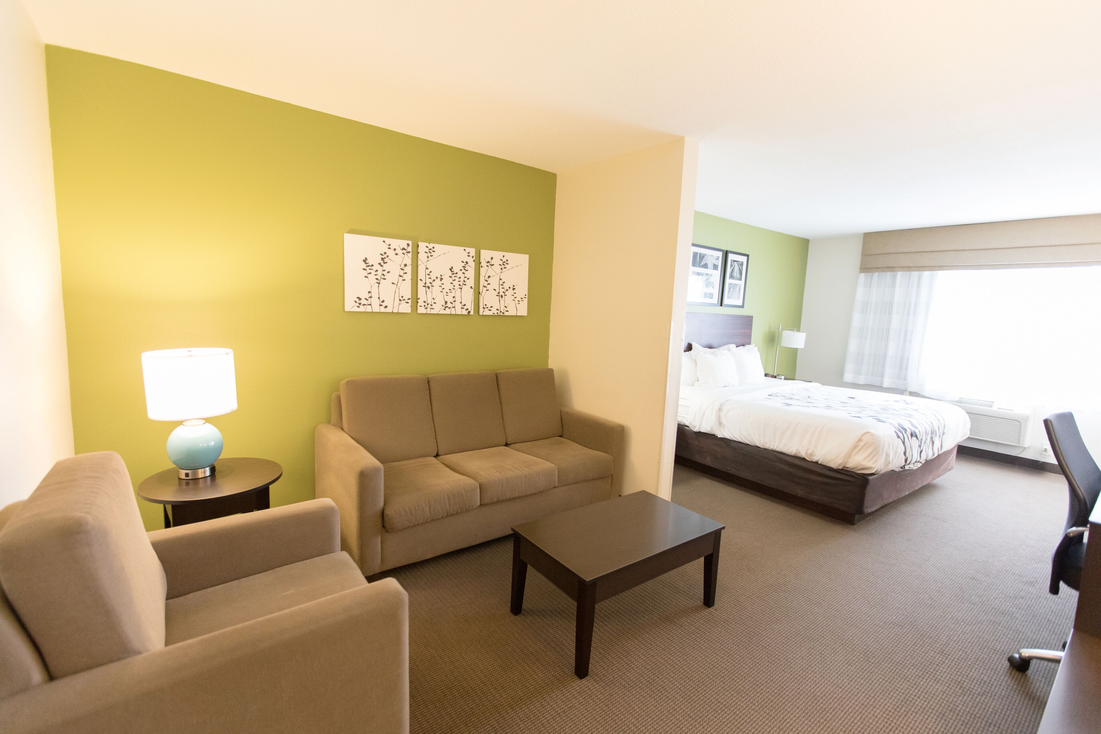 Habitación de hotel con pared verde, sofá, mesa de centro, cama y lámpara.