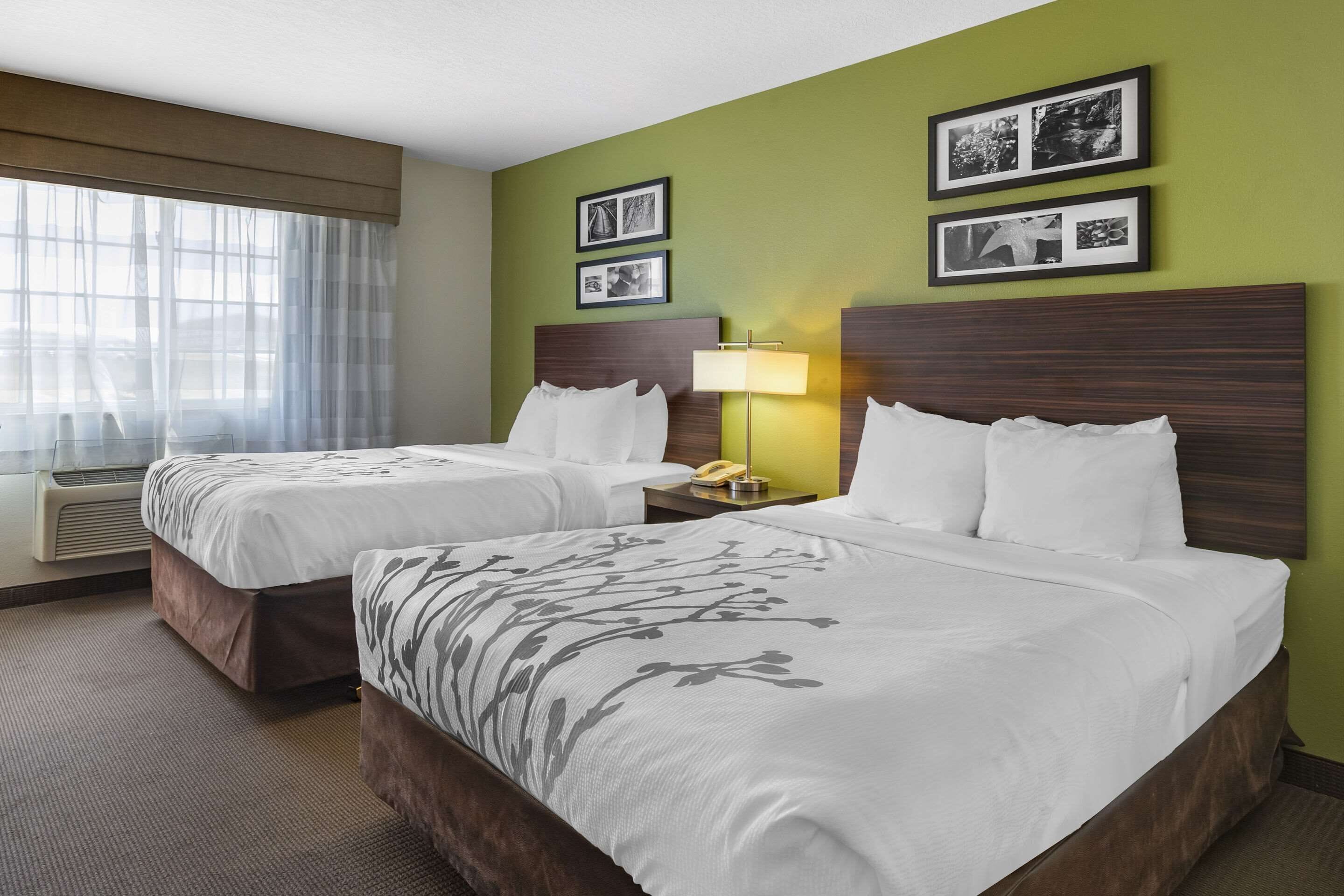 A hotel room with two beds, a bedside lamp, and framed pictures on the wall.