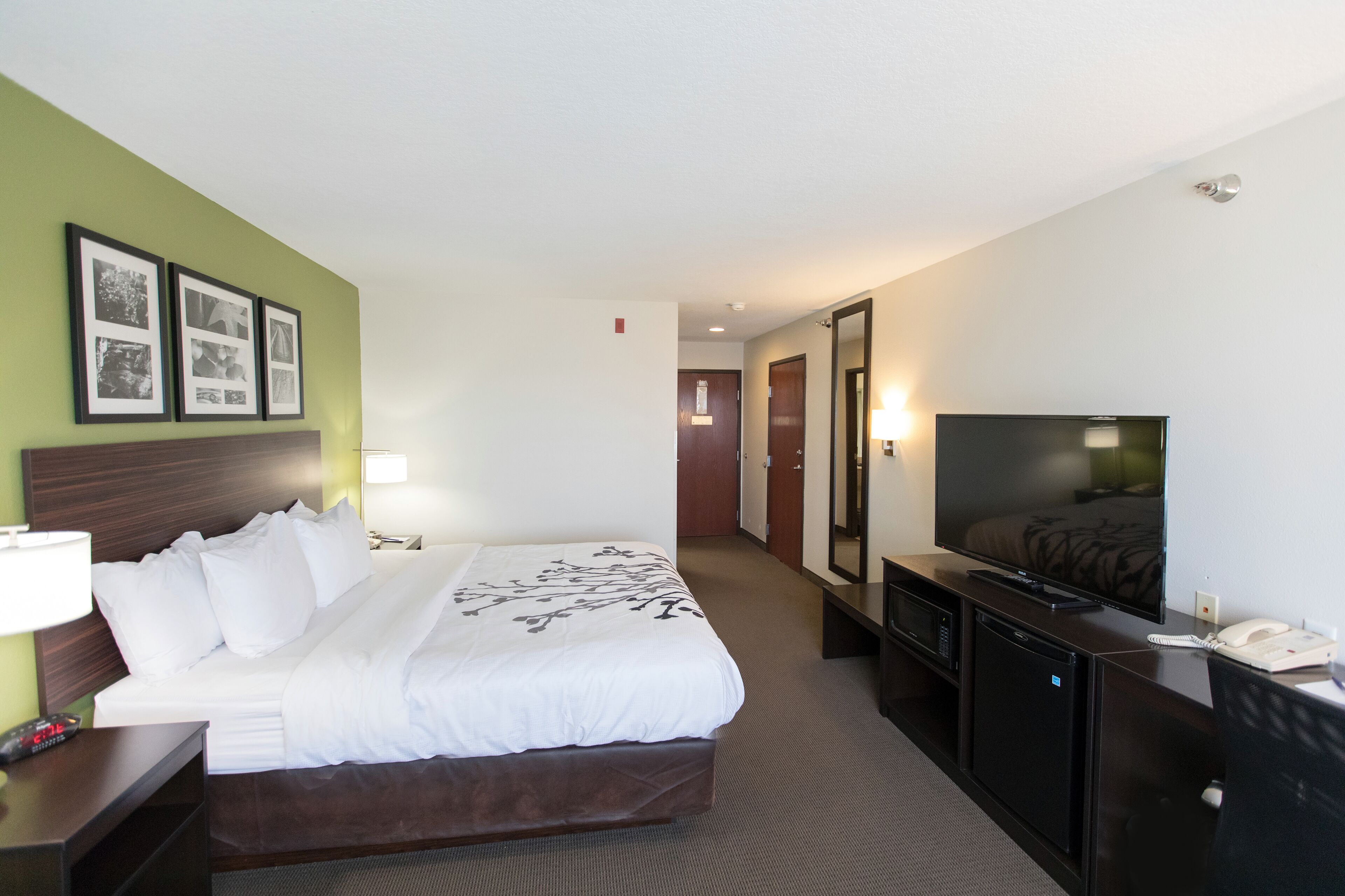 Habitación de hotel con cama, mesita de noche, lámpara, televisión y un refrigerador pequeño.