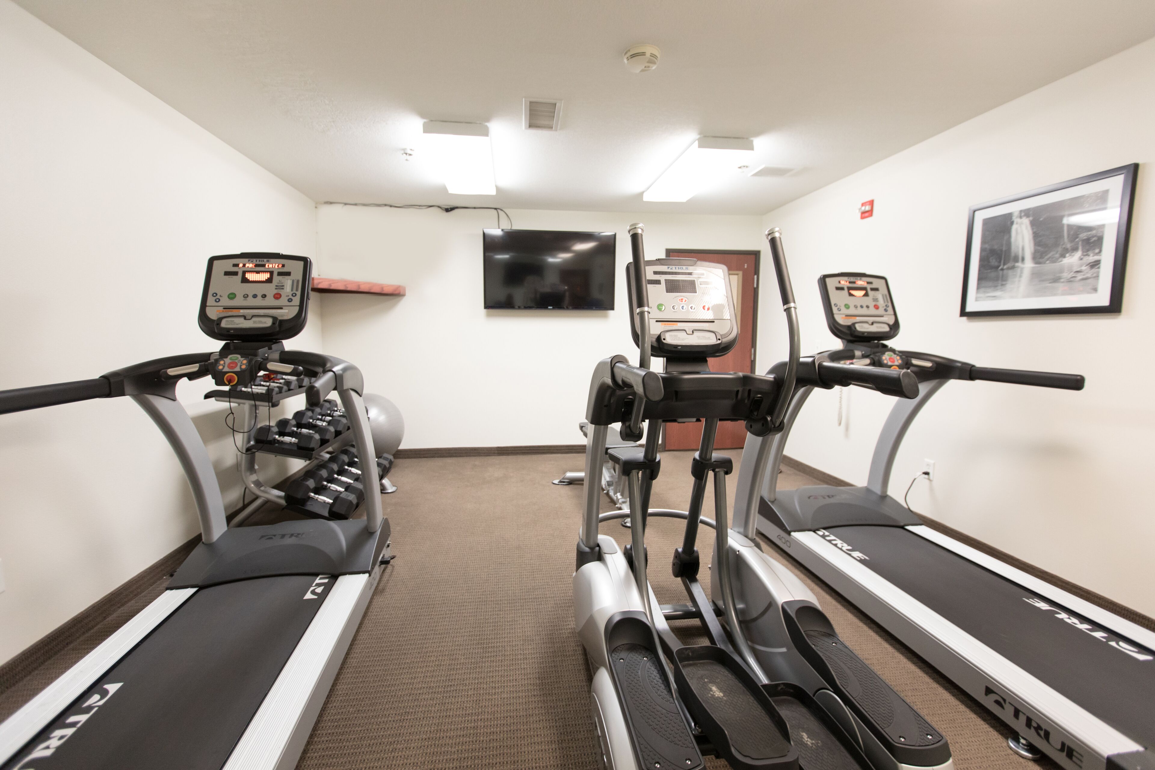 A fitness room with treadmills, weight machines, and a TV screen.