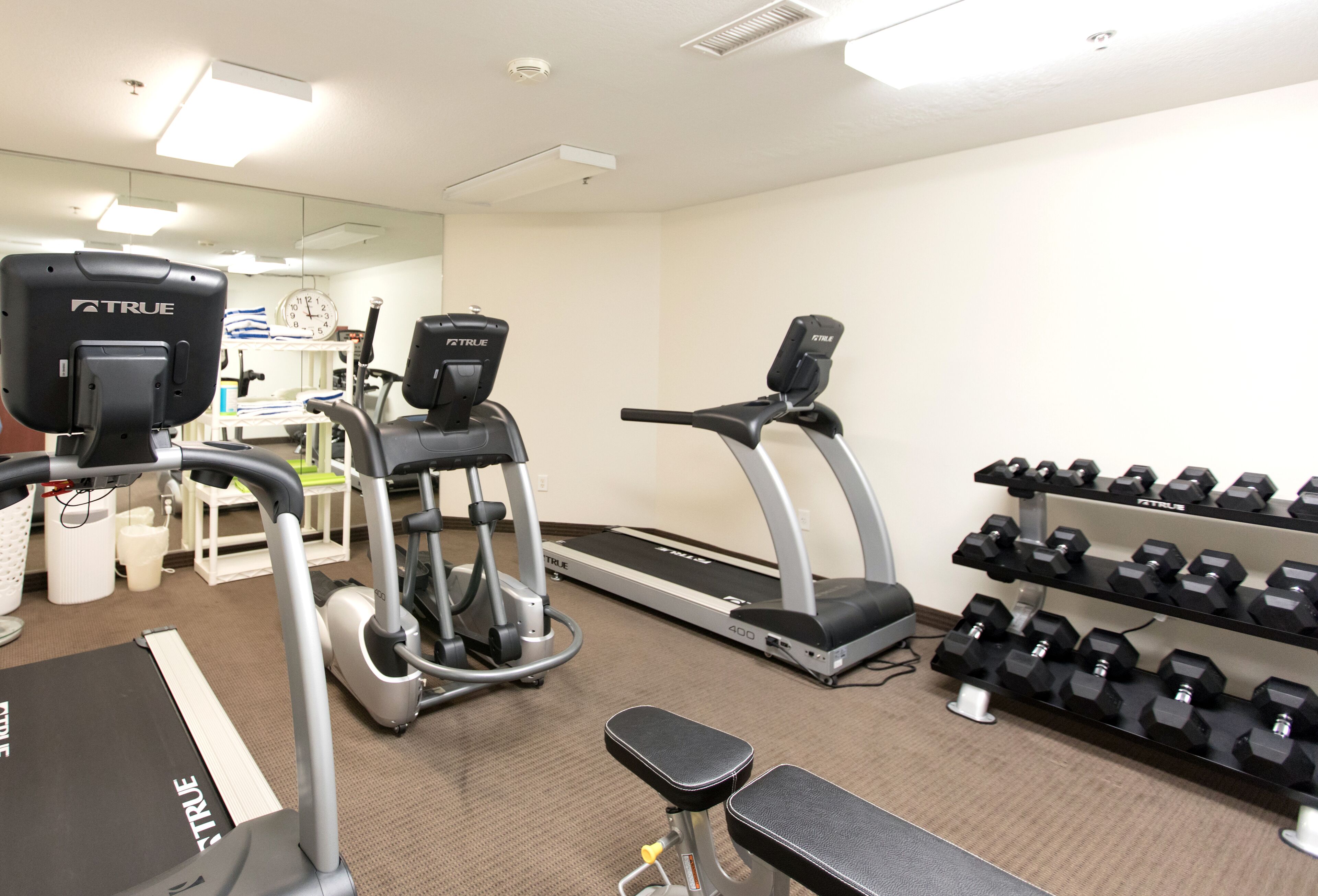 A gym with treadmills, elliptical machines, a bench, and a rack of dumbbells.