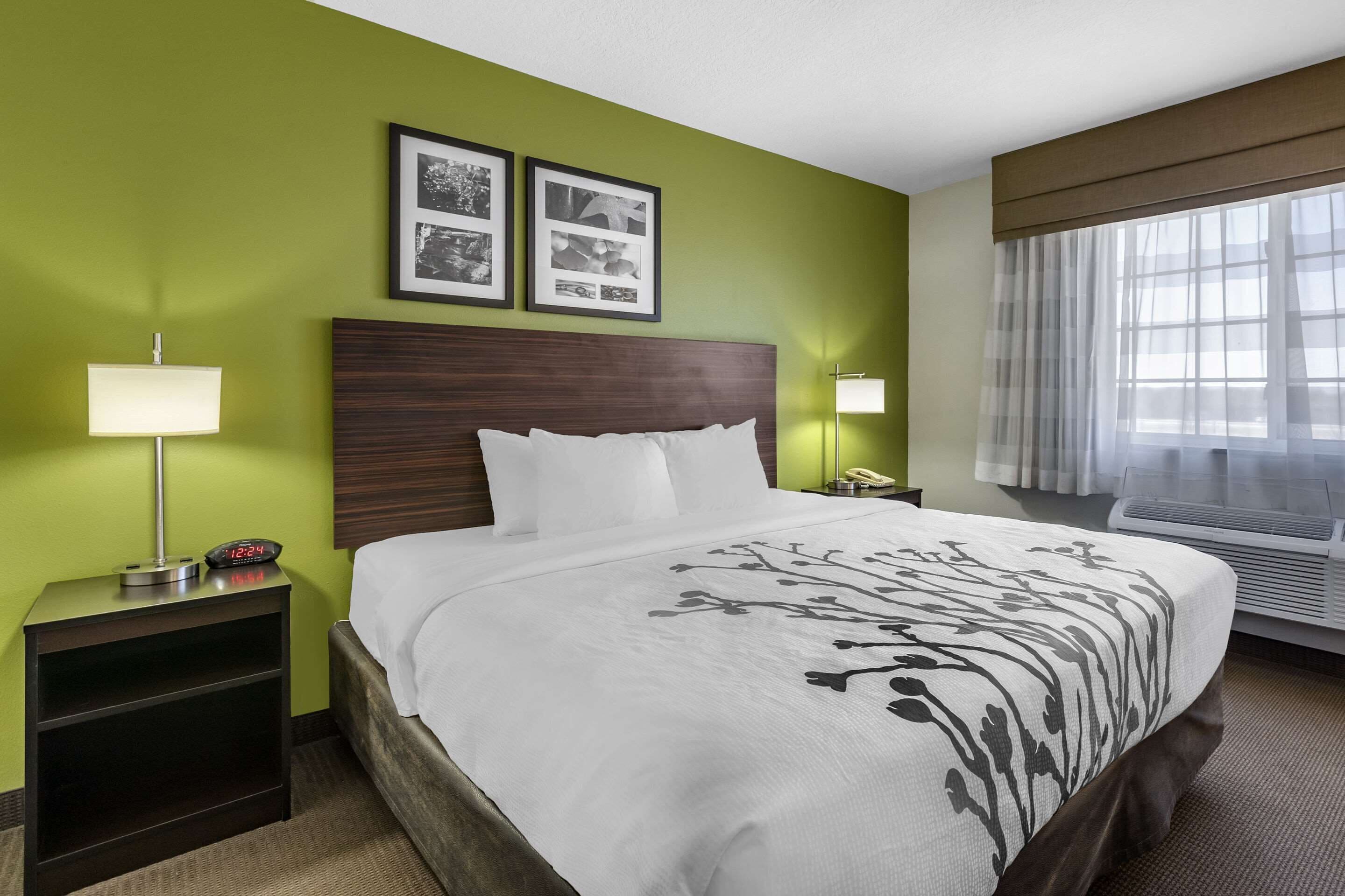 Habitación de hotel con cama, mesita de noche, lámpara, reloj de pared, cuadros enmarcados y ventana con cortinas.