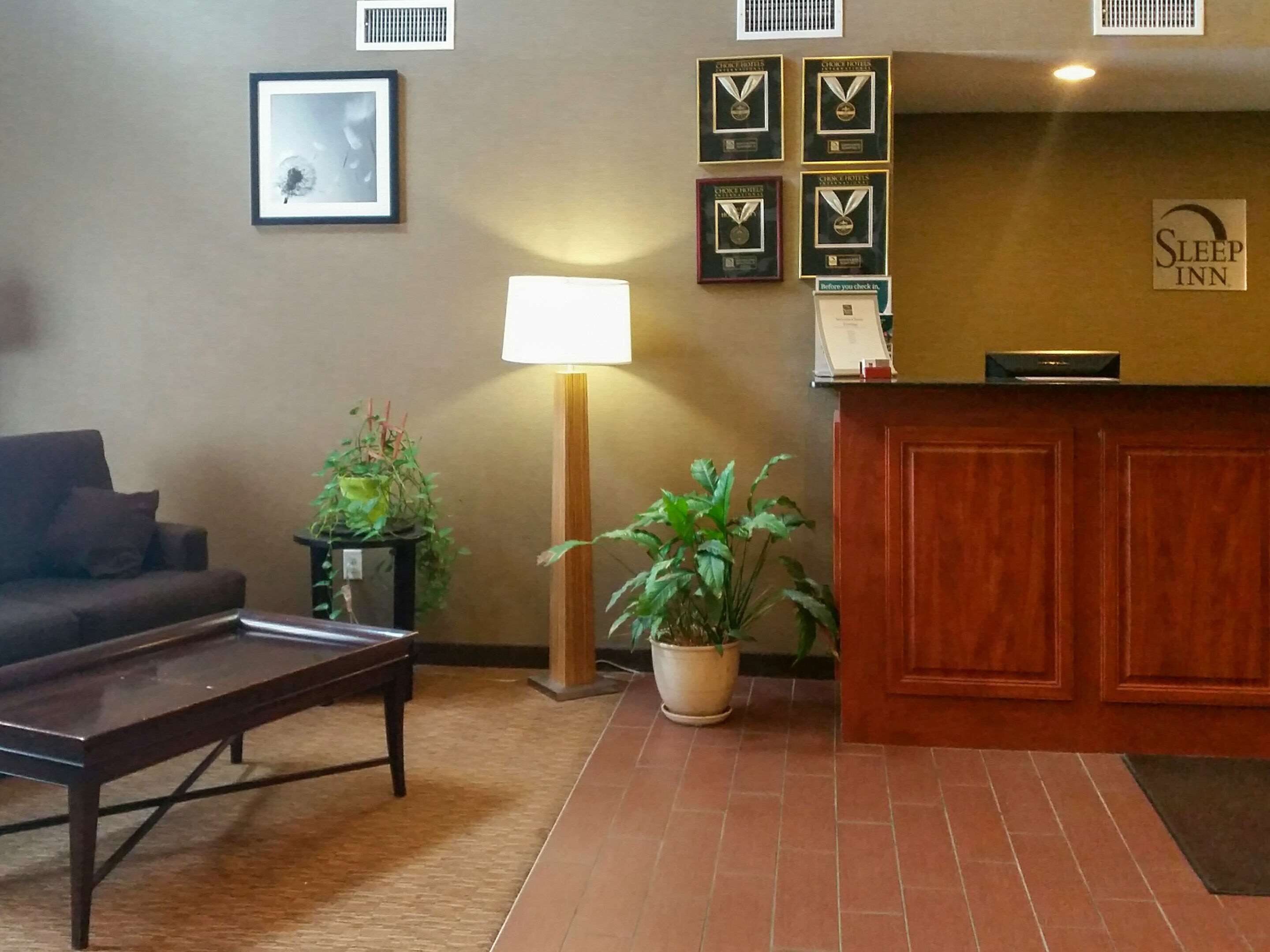 A reception area with a wooden desk, framed awards, a couch, and potted plants.