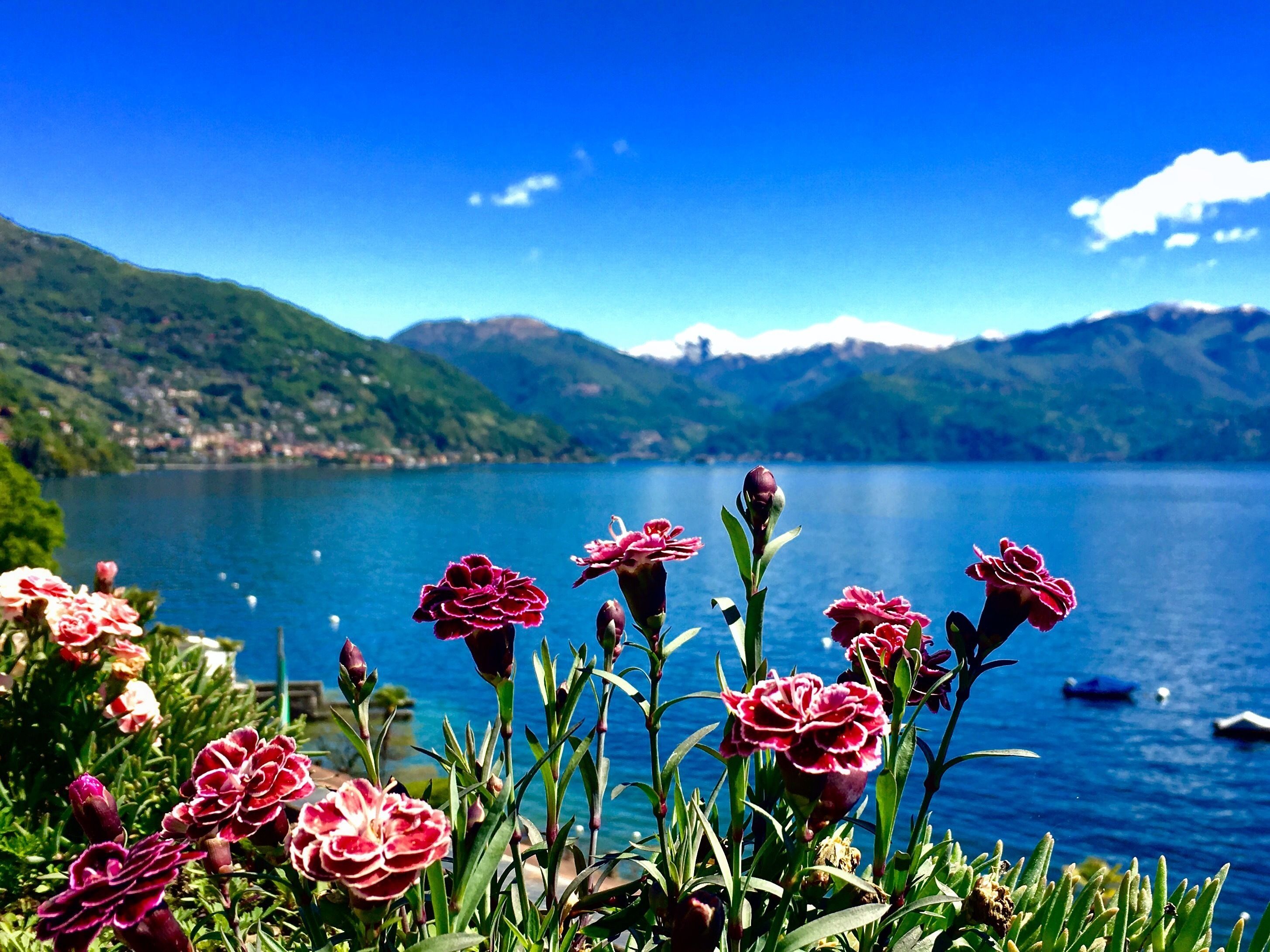 Foto - Residence Casa e Vela