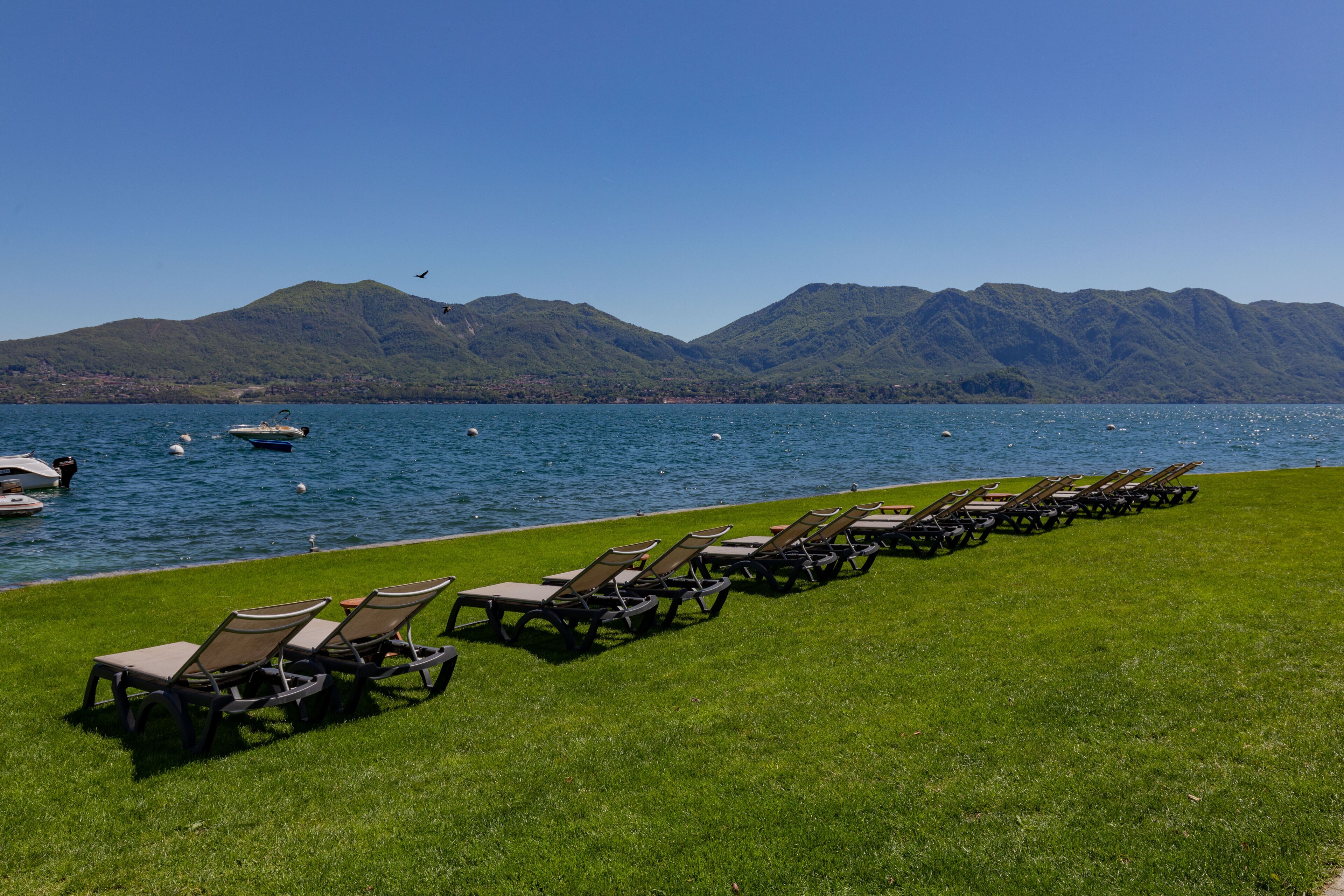 A row of sun loungers on a grassy area by a lake with mountains in the background.