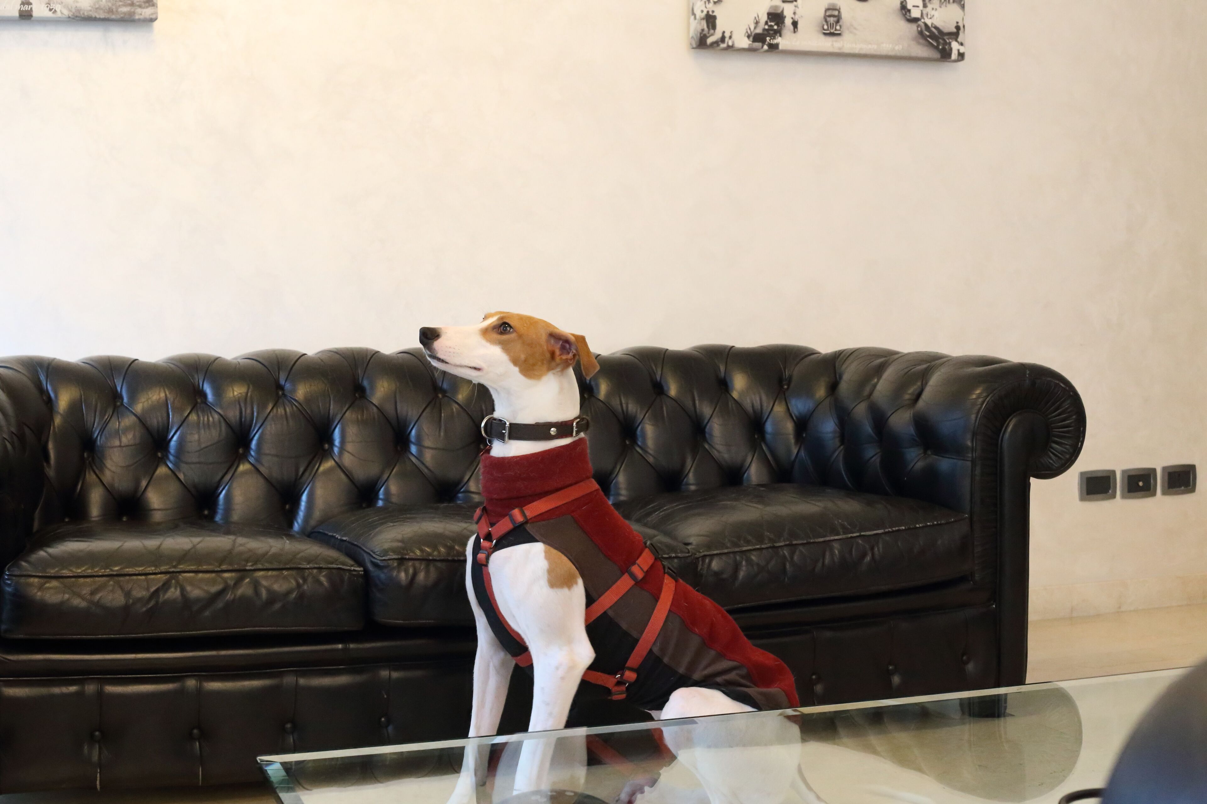 Foto - Hotel Du Soleil