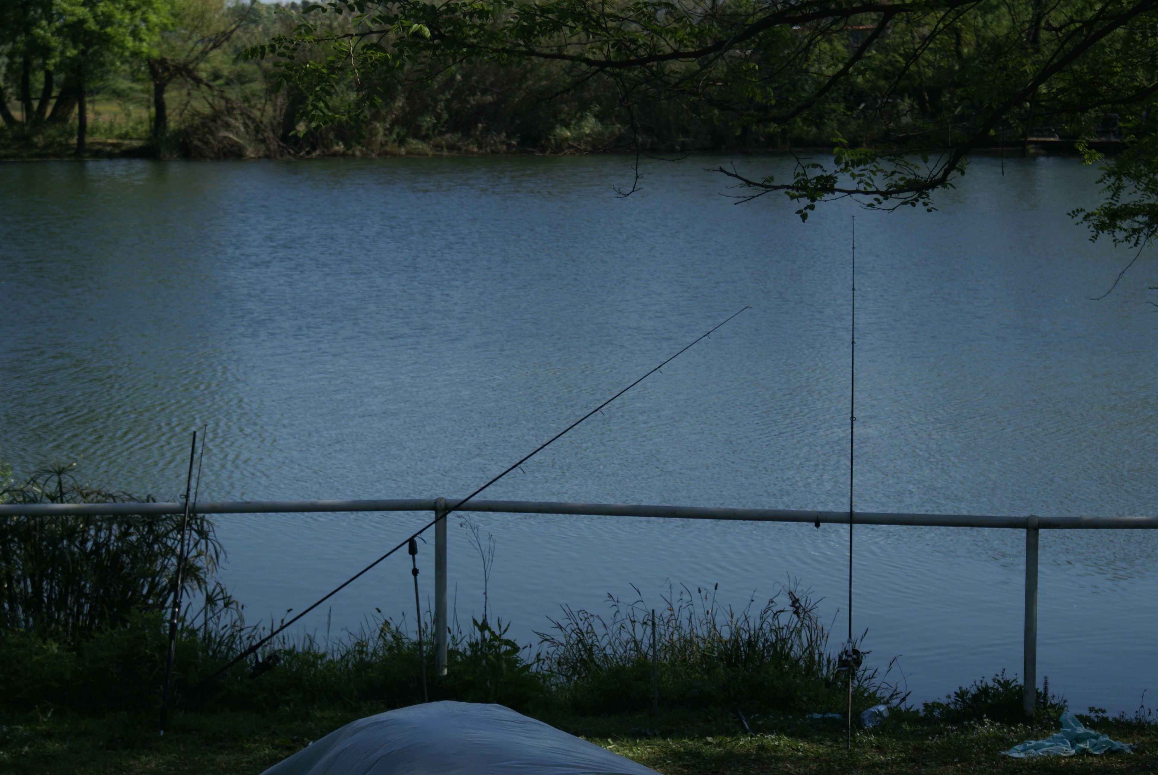 Foto - Relais Del Lago