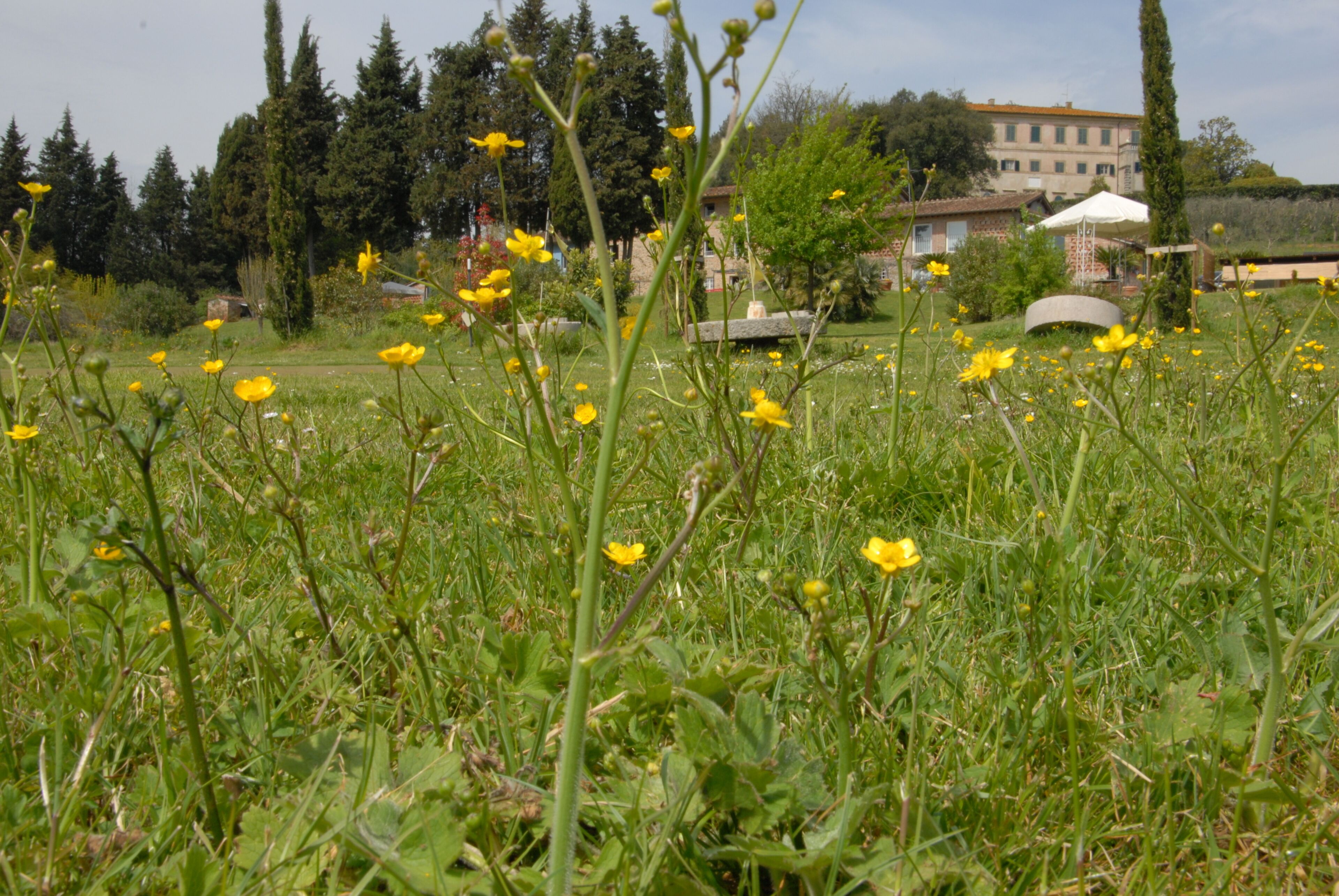 Foto - Relais Del Lago